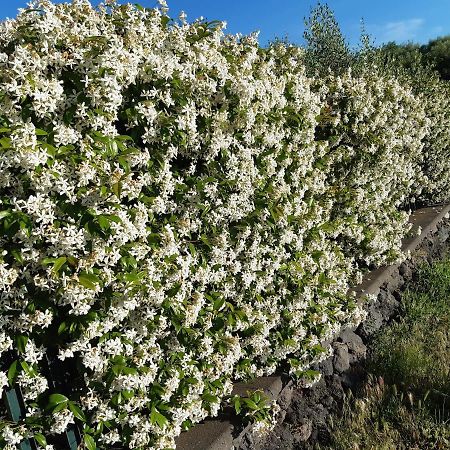 B&B Etna Ranch Piedimonte Etneo Kültér fotó