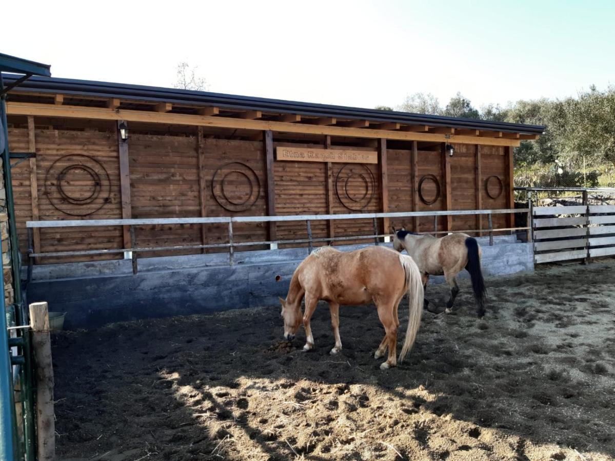 B&B Etna Ranch Piedimonte Etneo Kültér fotó