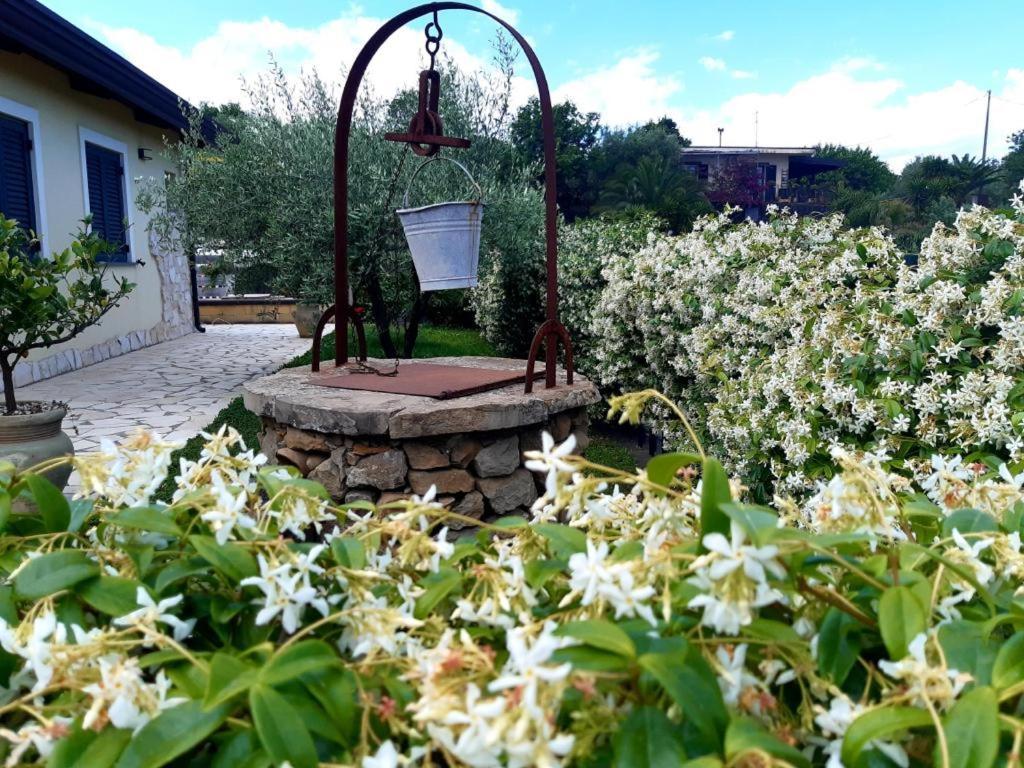 B&B Etna Ranch Piedimonte Etneo Kültér fotó
