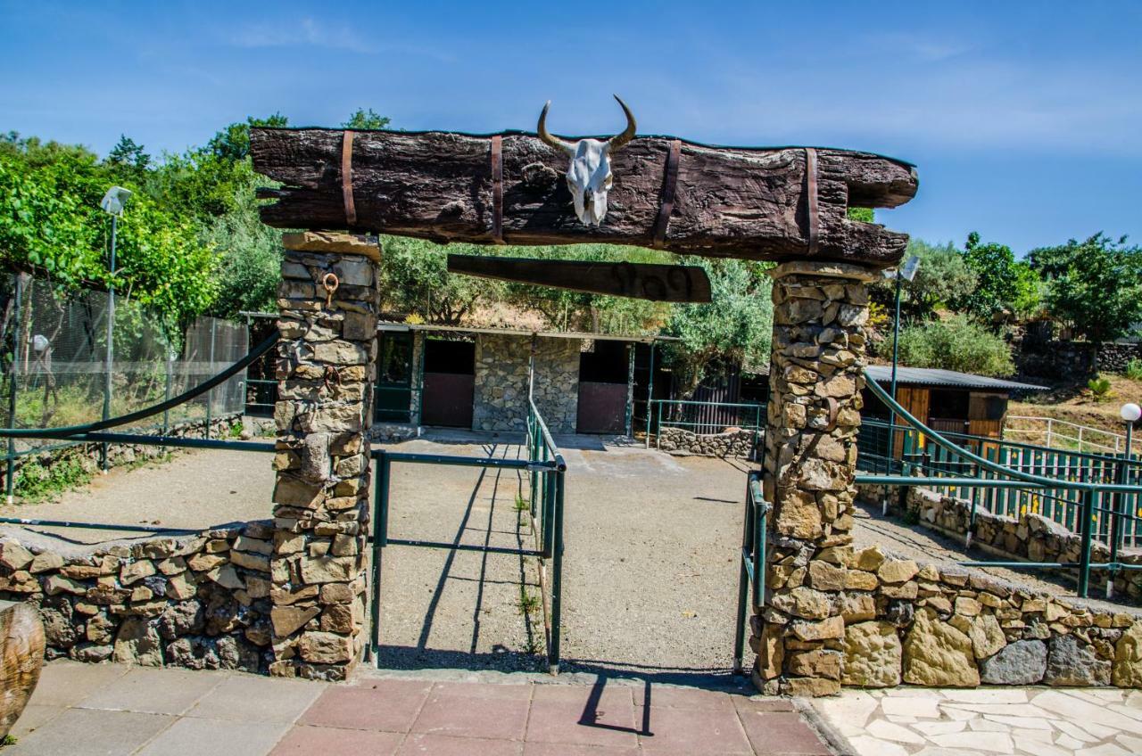B&B Etna Ranch Piedimonte Etneo Kültér fotó