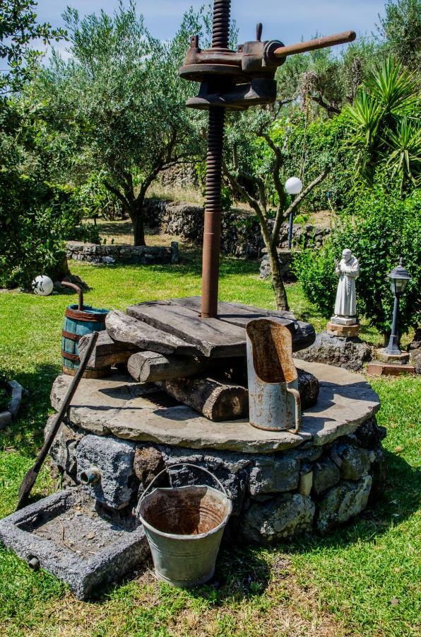 B&B Etna Ranch Piedimonte Etneo Kültér fotó